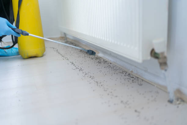 Pest Control Cost in Republic, PA